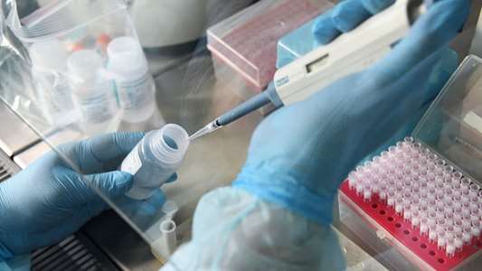 آزمایشگاه معاونت بهداشت دانشگاه علوم پزشکی کاشان مجوز تشخیص مولکولی آنفولانزا دریافت کرد 